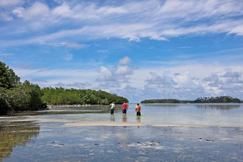 Researchers at Nan Madol