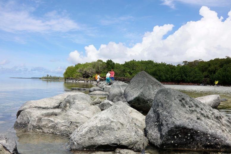 Seawall Compound of Nan Madol