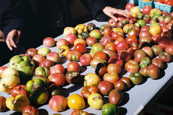 Fresh autumn produce at Union Square Greenmarket