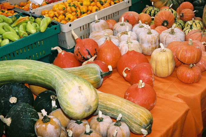 Autumnal orange pumpkins and squashes