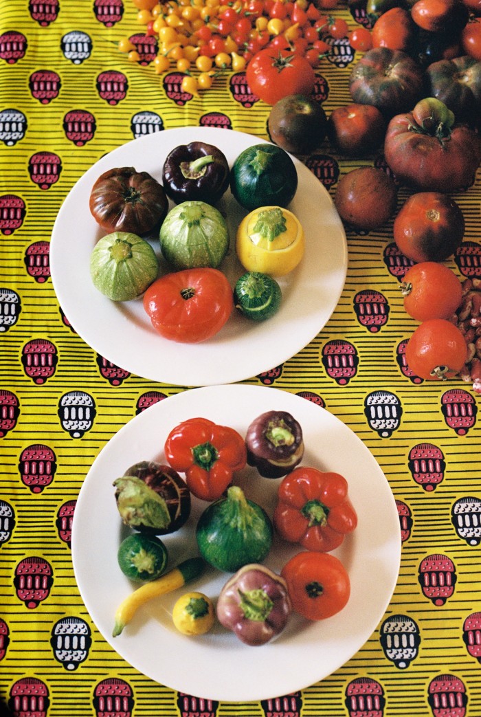 Stuffed aubergines, tomatoes, courgettes and peppers 