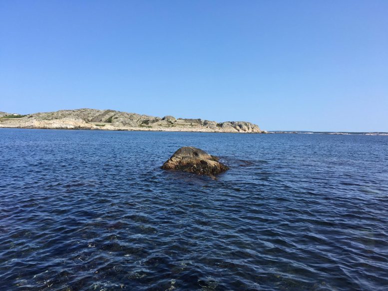 Experimental Skerry in Koster Archipelago