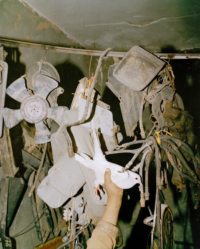 A boy holds a pigeon in an auto repair shop