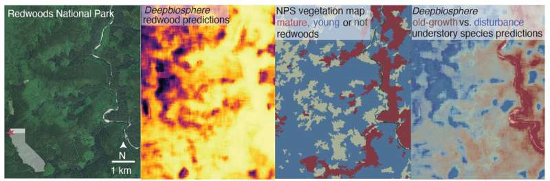 Using AI and iNaturalist, scientists build one of the highest resolution maps yet of California plants