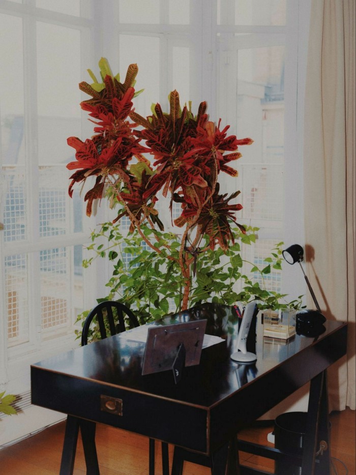 Black desk, slightly worn on the angles, housing a phone , a lamp and a framed photo, by the window of a Paris apartment