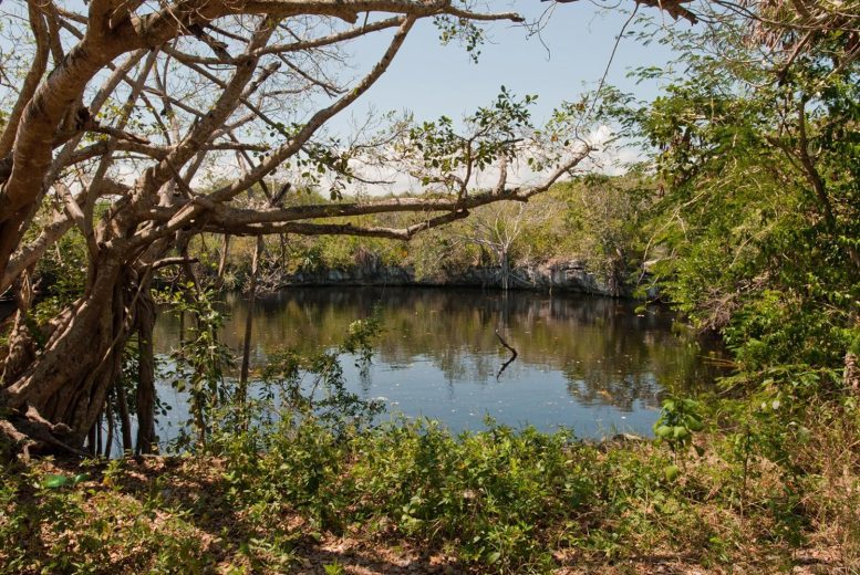 Entrance to a Cenote