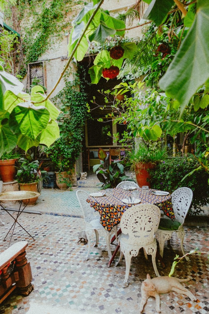 The courtyard at Riad Idrissy in Fez