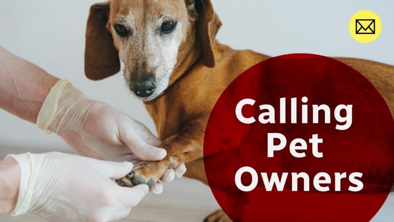 A dog getting its nails clipped, with text that reads "Calling Pet Owners".