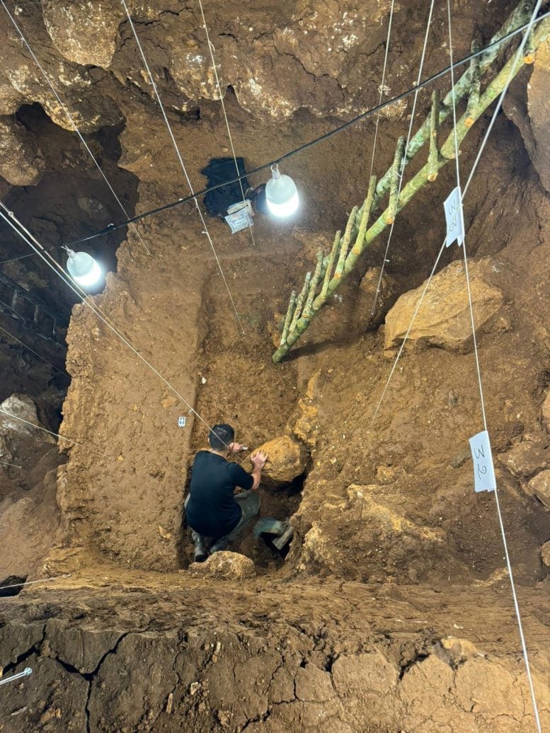 Excavation in Tam Pà Ling