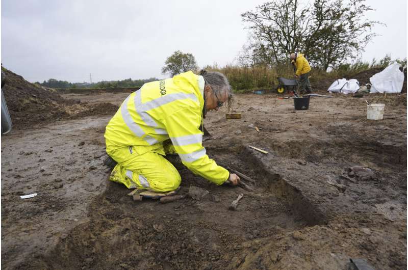 In Denmark, 50 well-preserved Viking Age skeletons have been unearthed, a rare discovery