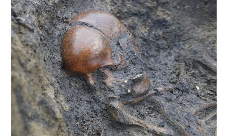 In Denmark, 50 well-preserved Viking Age skeletons have been unearthed, a rare discovery