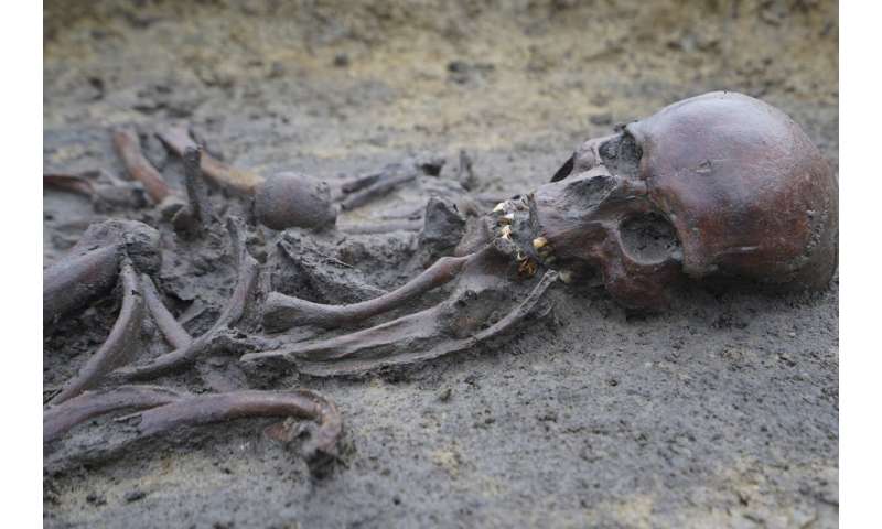 In Denmark, 50 well-preserved Viking Age skeletons have been unearthed, a rare discovery