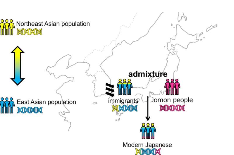 Traces of ancient immigration patterns to Japan found in 2000-year-old genome