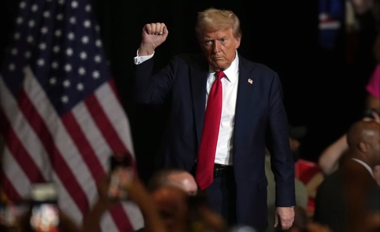 A man with grey-orange hair, wearing a navy suit and red tie, raises his fist as he stands near an American flag.