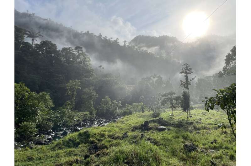 Modern mass extinction in an Ecuadorean cloud forest found to be a mirage