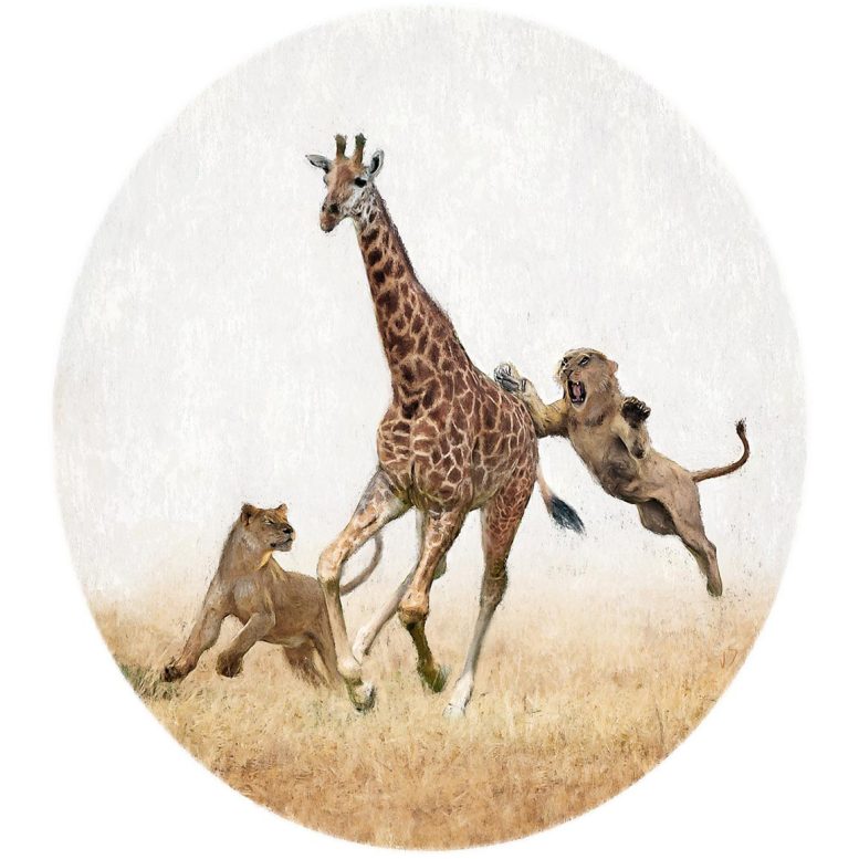 Lions Chase Giraffe Artwork