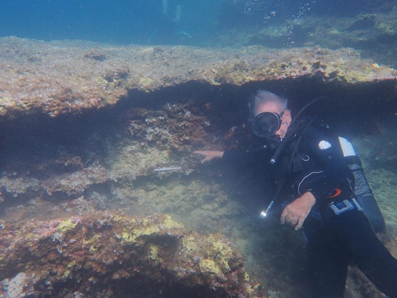 Diver in Underwater Cave in Sicily