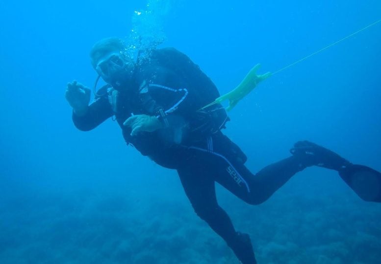 Diver in Underwater Site in Sicily