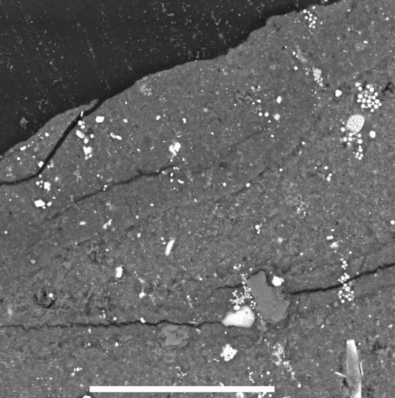 Fractures in Ryugu