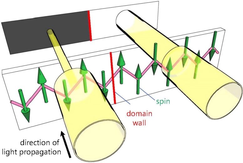 Magnetic Domains in a Quantum Antiferromagnet Using Nonreciprocal Directional Dichroism