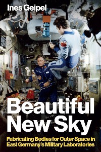 Book cover of Beautiful New Sky