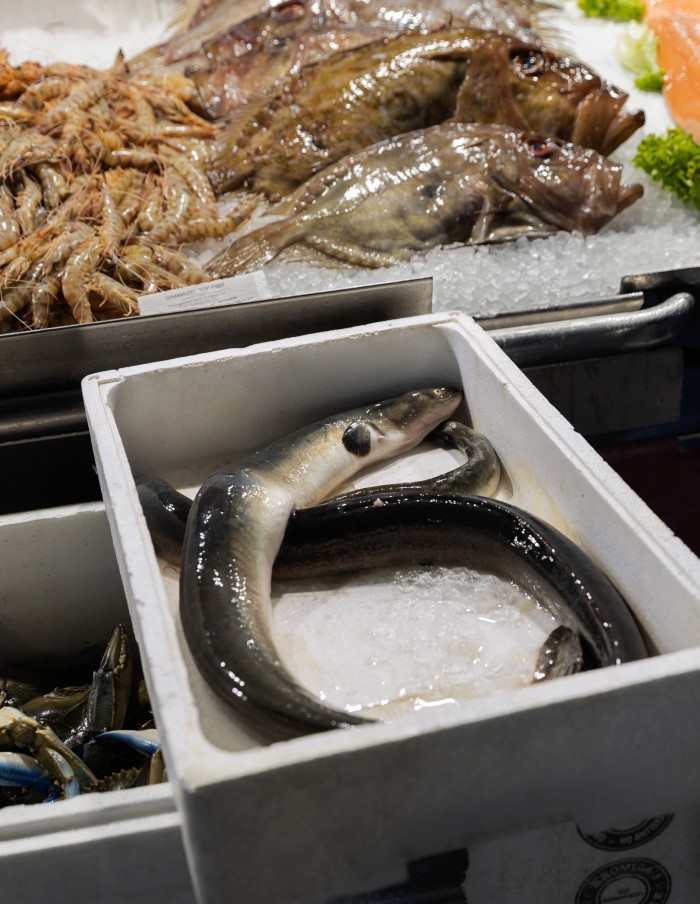 Eels on sale at the Rialto fish market