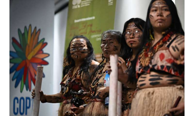 Indigenous communities at a pre-COP16 gathering in Bogota, Colombia, on August 14, 2024