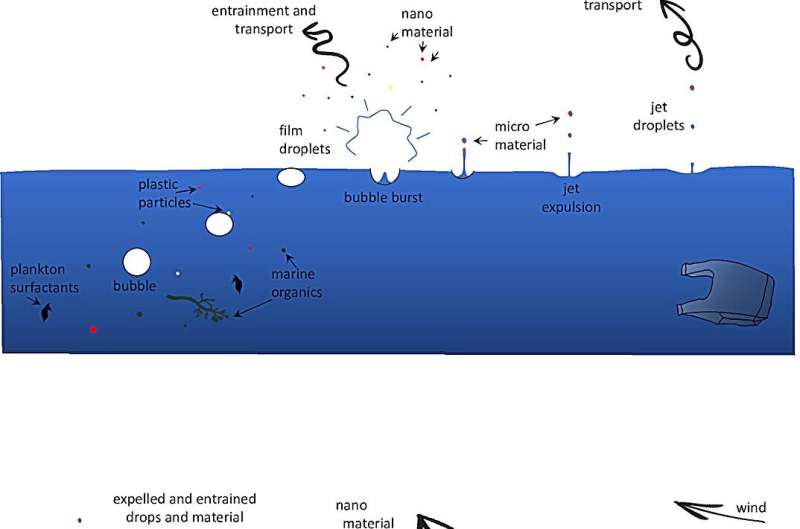 Microplastic pollution is everywhere, even in the exhaled breath of dolphins – new research