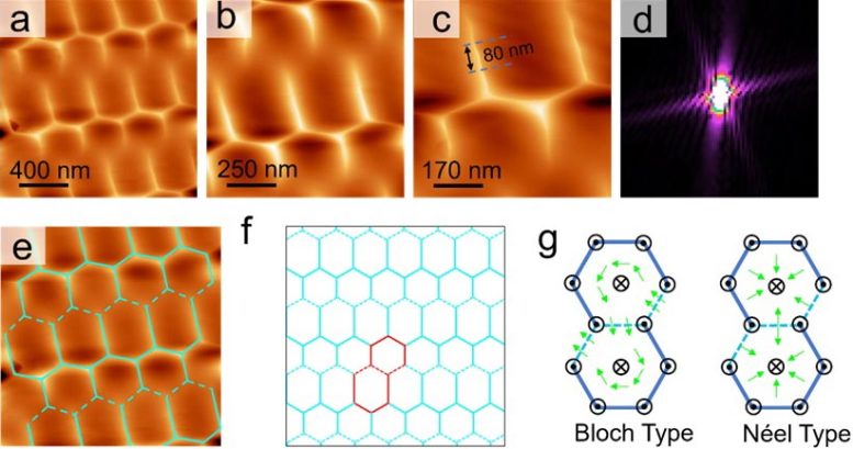 Kagome Lattice Intrinsic Magnetic Structure