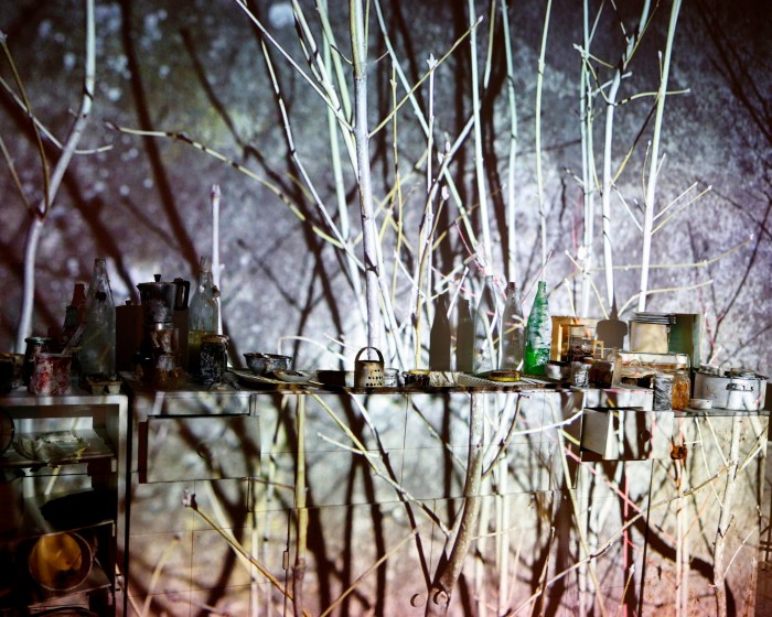 Everyday artefacts recovered from Bulgarian labour camps on display beside bare tree branches in the ‘The Neighbours’ installation