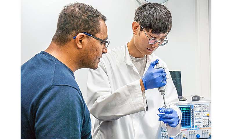 Artificial 'nose' can sniff out damaged fruit and spoiled meat