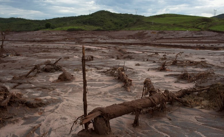 There are mountains in the distance, but the image is dominated by a wide swathe of mud and cylindrical shapes covered in mud. 