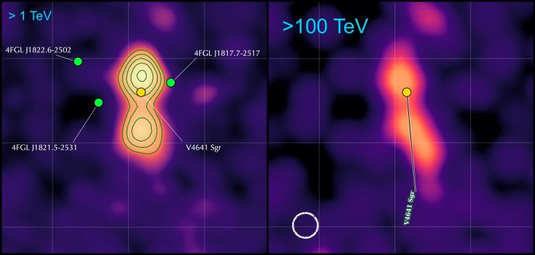 Microquasar V4641 Sag High-Energy Cosmic Ray Sources