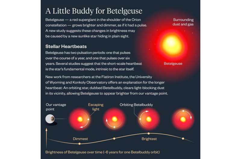 Betelgeuse Betelgeuse? Bright star Betelgeuse likely has a 'Betelbuddy' stellar companion