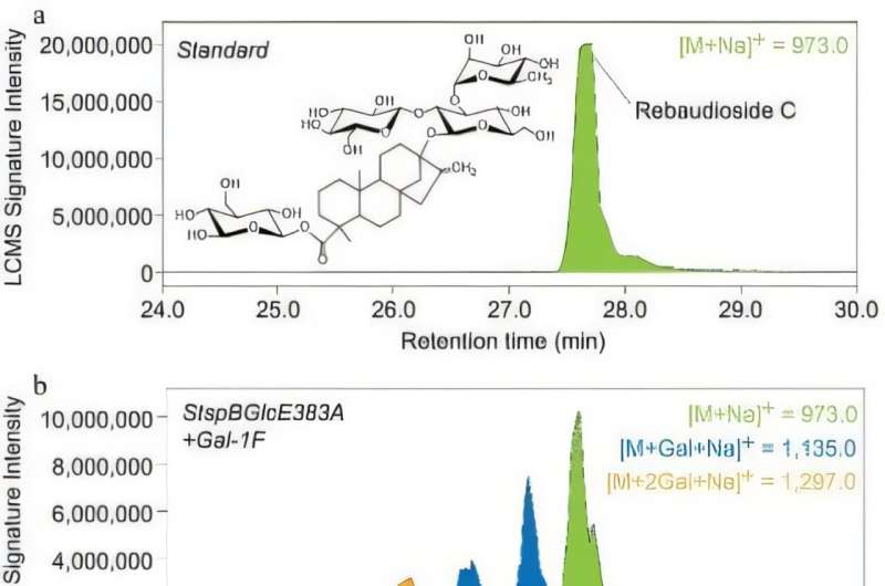 Innovative chemoenzymatic approach enhances stevia sweetness through glycosylation of rebaudioside C