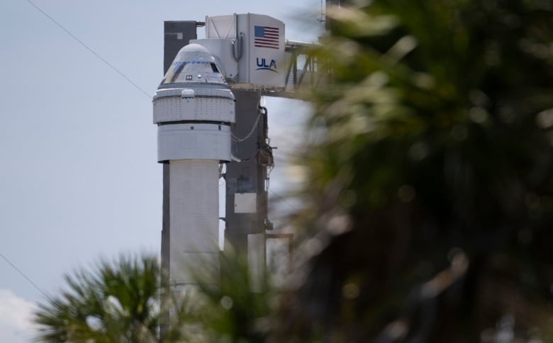 A white rocket stands at a launch tower with out-of-focus trees in the foreground.