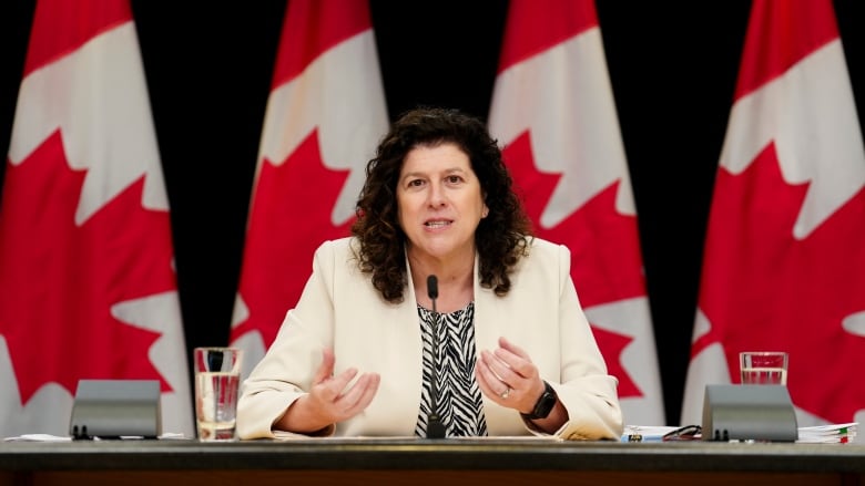 Auditor General Karen Hogan holds a press conference at the National Press Theatre in Ottawa on Tuesday, June 4, 2024.