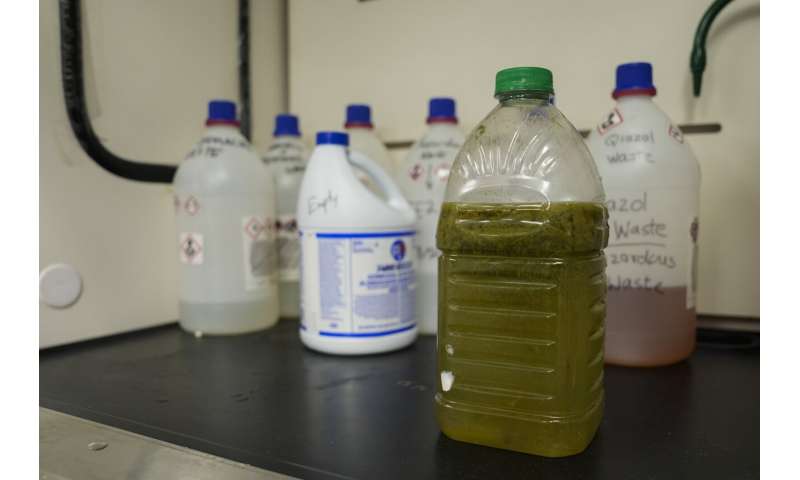 Researchers in a lab near Lake Erie study how toxic algae can damage health