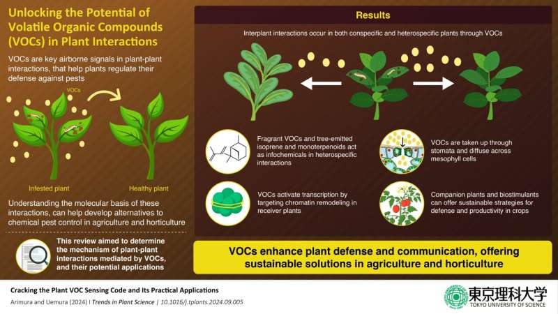 Harnessing plant odors to revolutionize sustainable agriculture