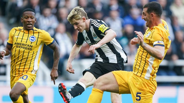 Anthony Gordon gets a shot away against Brighton