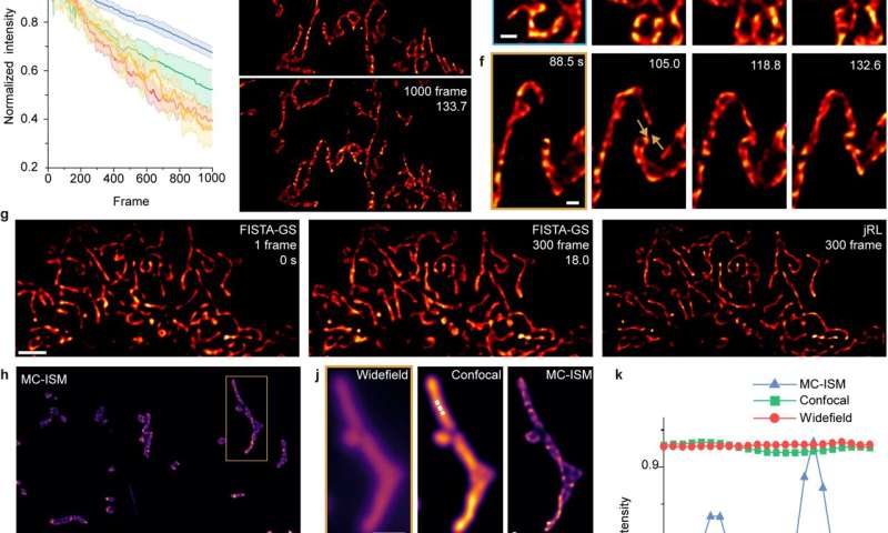 Super-resolution imaging of living tissues achieved by multi-confocal image scanning microscopy