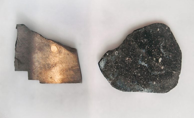 Iron Meteorite From the Core of a Melted Planetesimal and a Chondrite Meteorite Flat