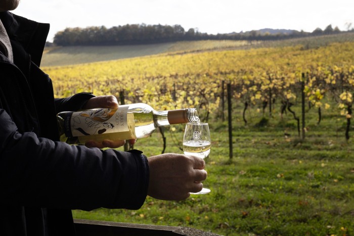 Pouring glass of white at Denbies