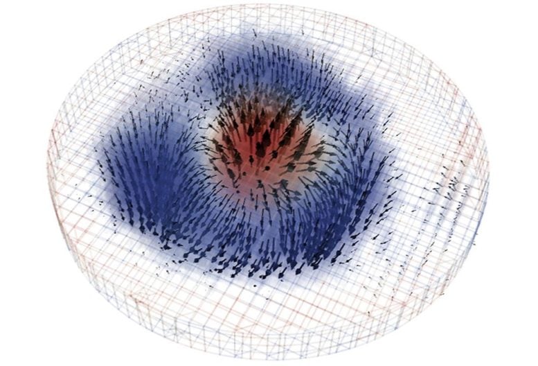 Skyrmion 3D Reconstruction