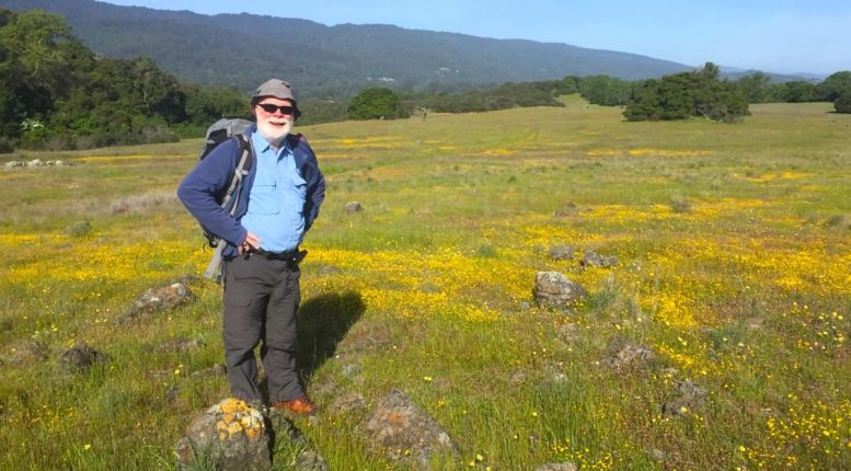 Grasslands in California Floristic Province