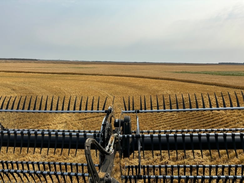 Grain combine in front of harvested barley field