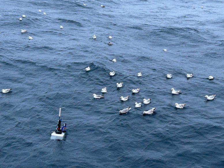 Deploying a BGC-Argo Float in the Labrador Sea