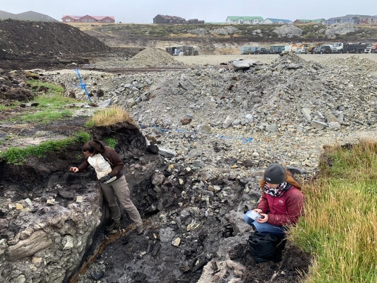 Researchers at Tussac House Site