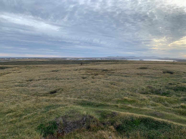 Falkland Islands Landscape