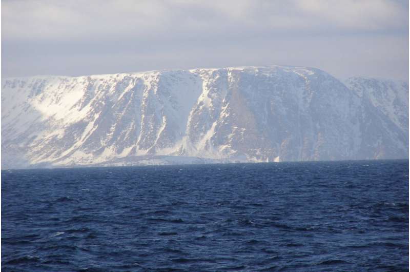 Oceanographers record the largest predation event ever observed in the ocean